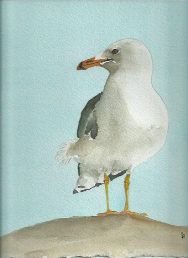 Easy Gull Painting Art Ideas