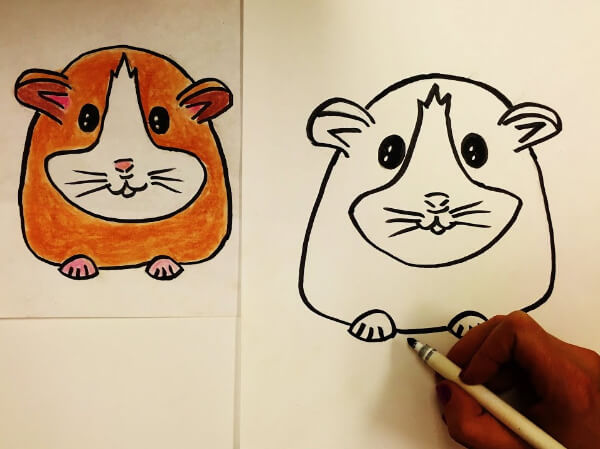 Easy Hamster Drawing For Kids