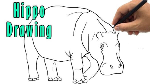 Easy Hippo Outline Drawing Sketch For kids Beginners