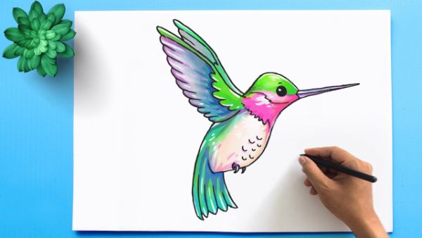 Easy Hummingbirds Drawing Tutorial & Sketches For Kids