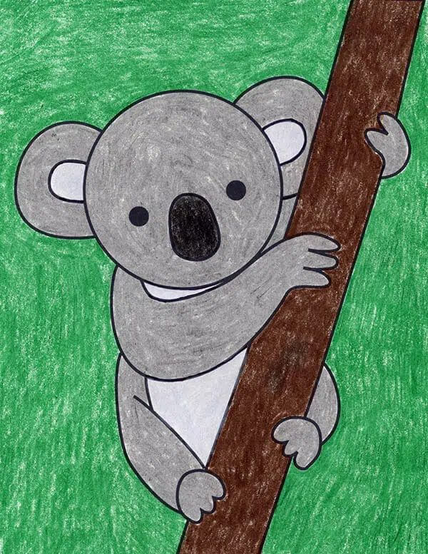 Easy Koala Drawing & Sketches For Kids