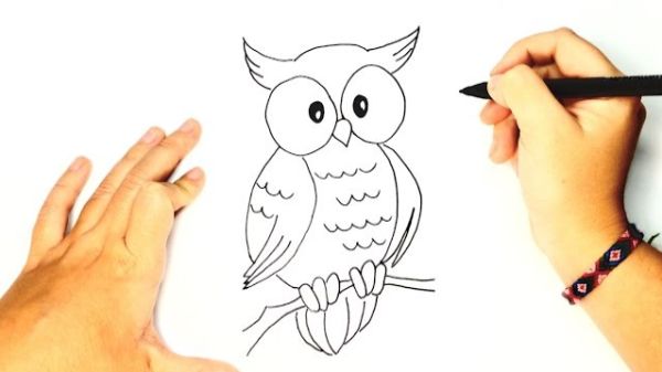 Easy Owl Drawing & sketches For Kids