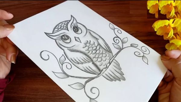 Easy Owl Drawing & sketches Step By Step With Pencil For Kids