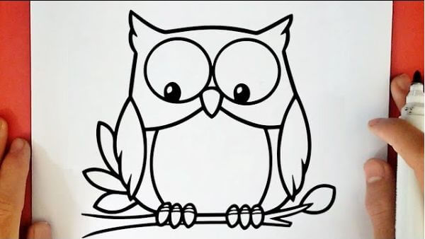 Easy Owl Drawing Video For Beginners
