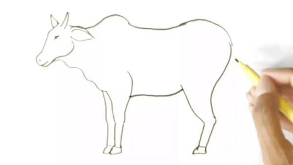 Ox Easy Drawing For Kids