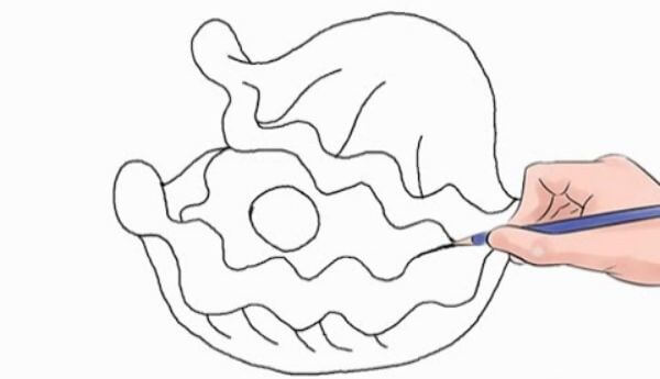 Easy Oyster Drawing Step By Step & sketches for kids