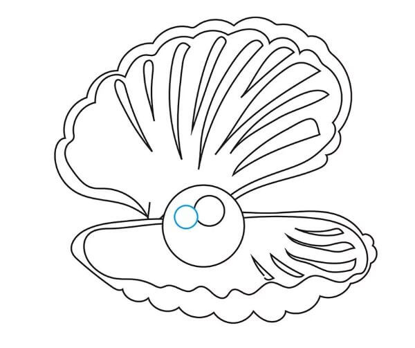 Easy Oyster Drawing Tutorial With Pearl & Sketches for kids