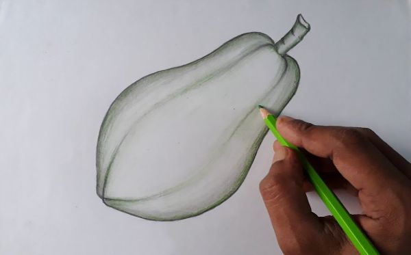 Easy Papaya Pencil Drawing Video