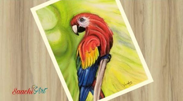 Easy Parrot Painting Using Oil Pastel Color For Kids