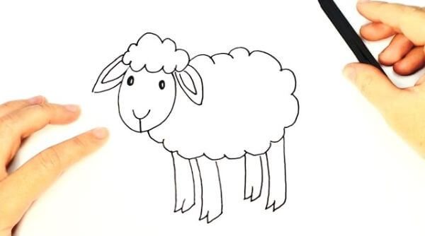 Easy Sheep Drawing & Sketches Tutorial For Kids