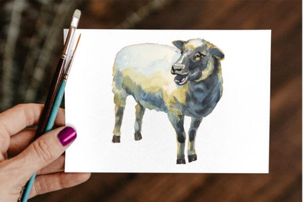 Easy Sheep Painting For kindergartner