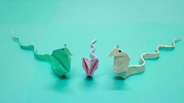 Easy Steps For Making Origami Snake