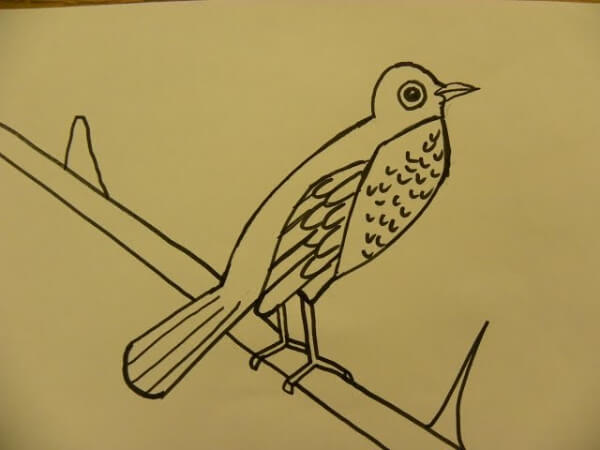 Easy Steps To Draw A Bird