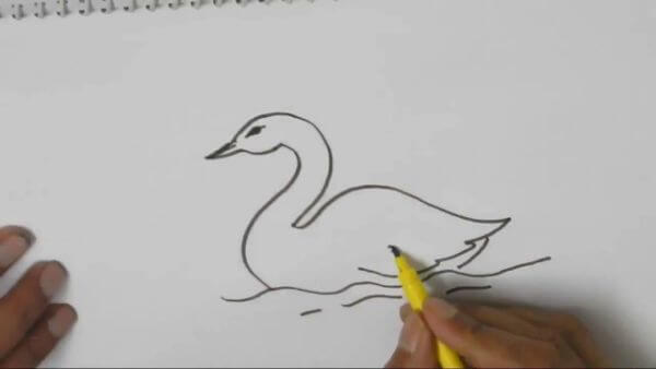 Easy Swan Drawing Lesson Tutorial For Beginners