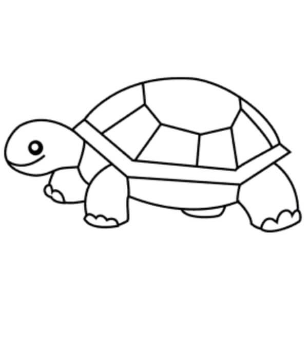 Easy Turtle Drawing