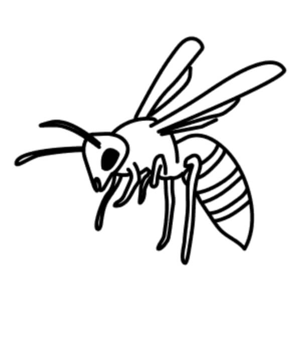 Easy Wasp Drawing