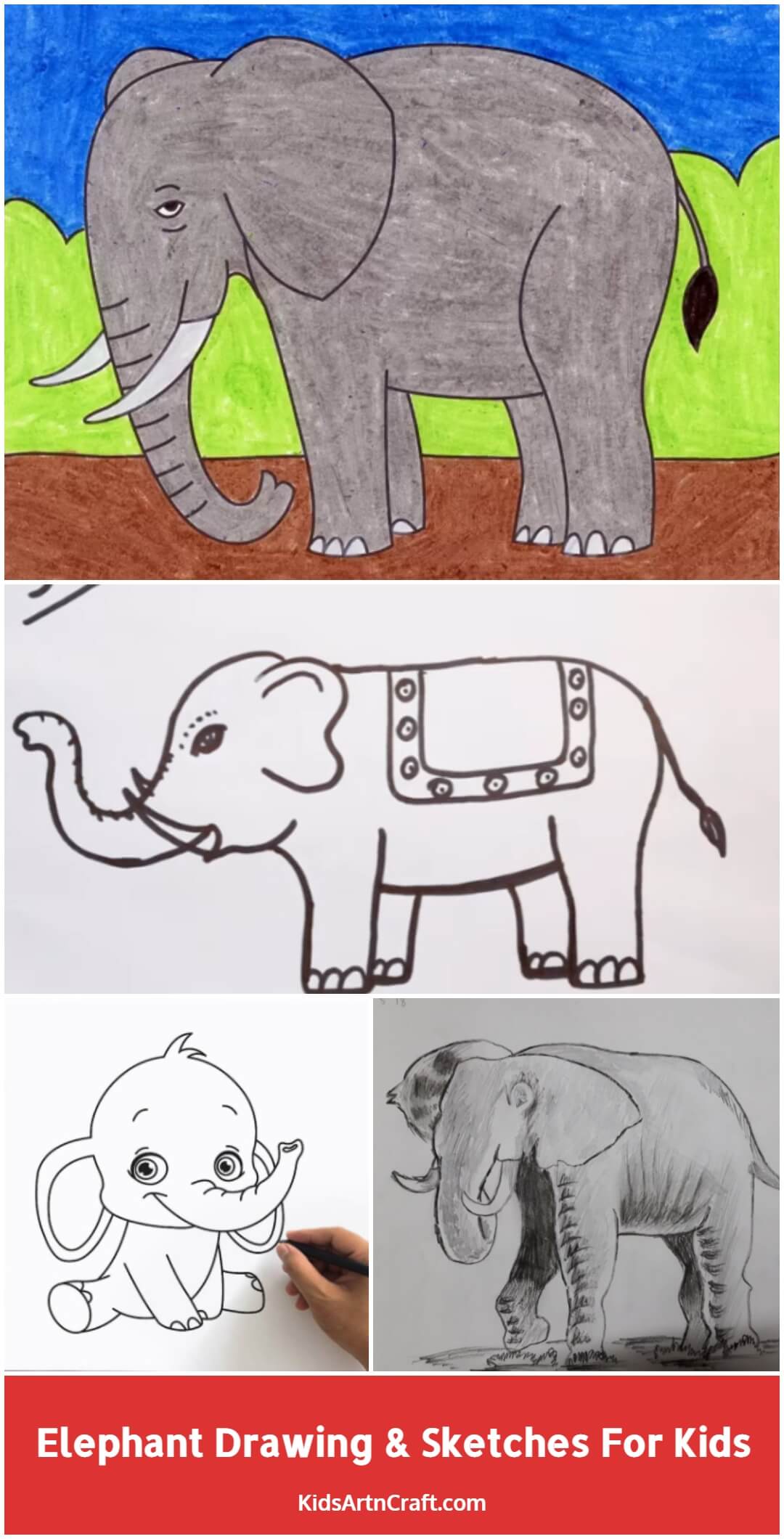 Elephant Drawing & Sketches for Kids