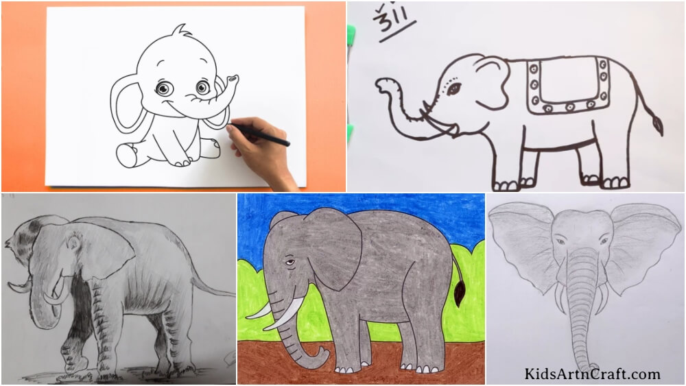 Loading  Easy elephant drawing Elephant drawing Elephant sketch