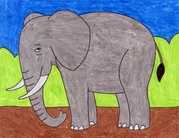 Elephant Drawing & Sketches for Kids Elephant Drawing Tutorial For Kids
