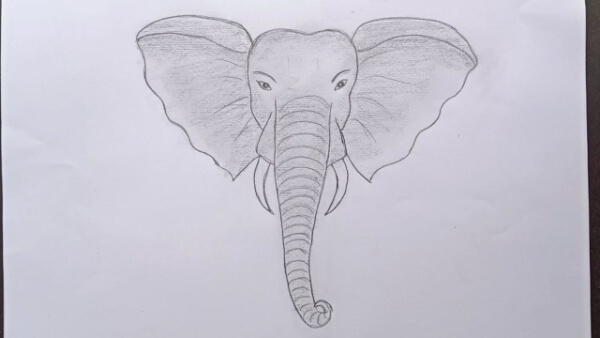 How To Draw Elephant Face