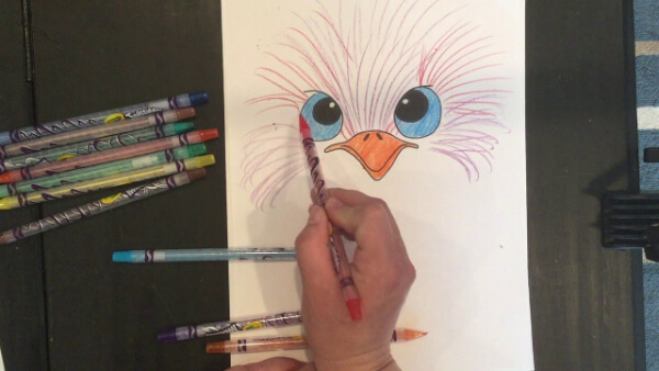 Emu Drawing & Sketch For Kids Emu Bird Drawing With Step by Step