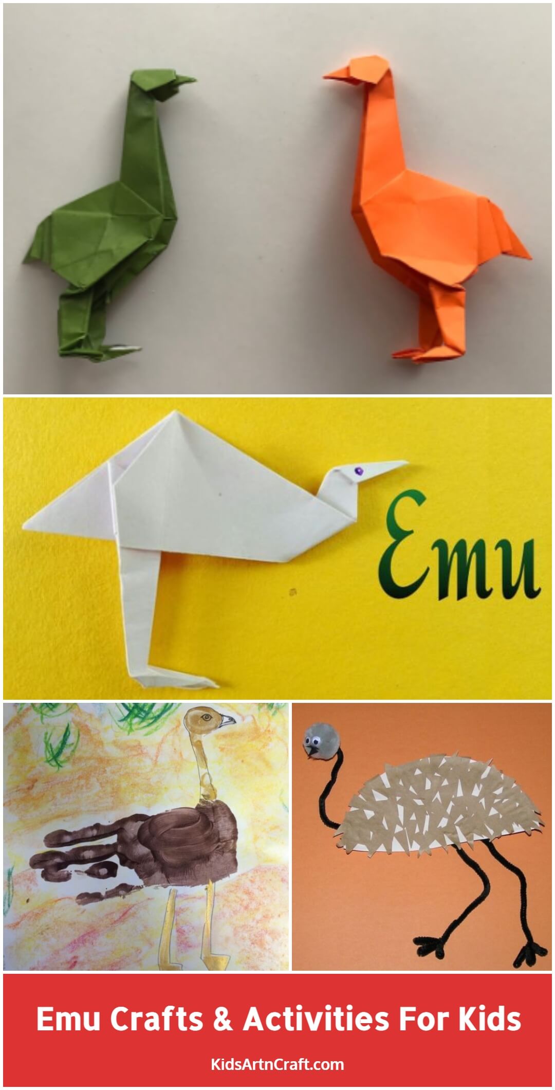 Emu Crafts & Activities for Kids