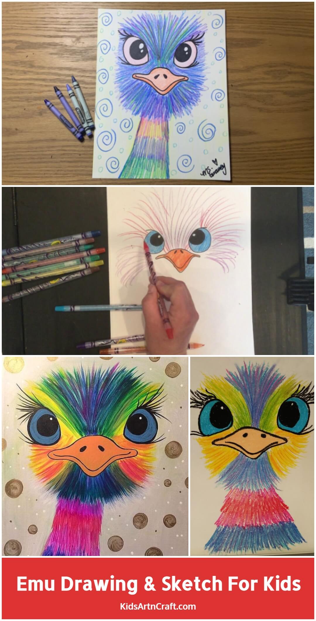 Emu Drawing & Sketch For Kids