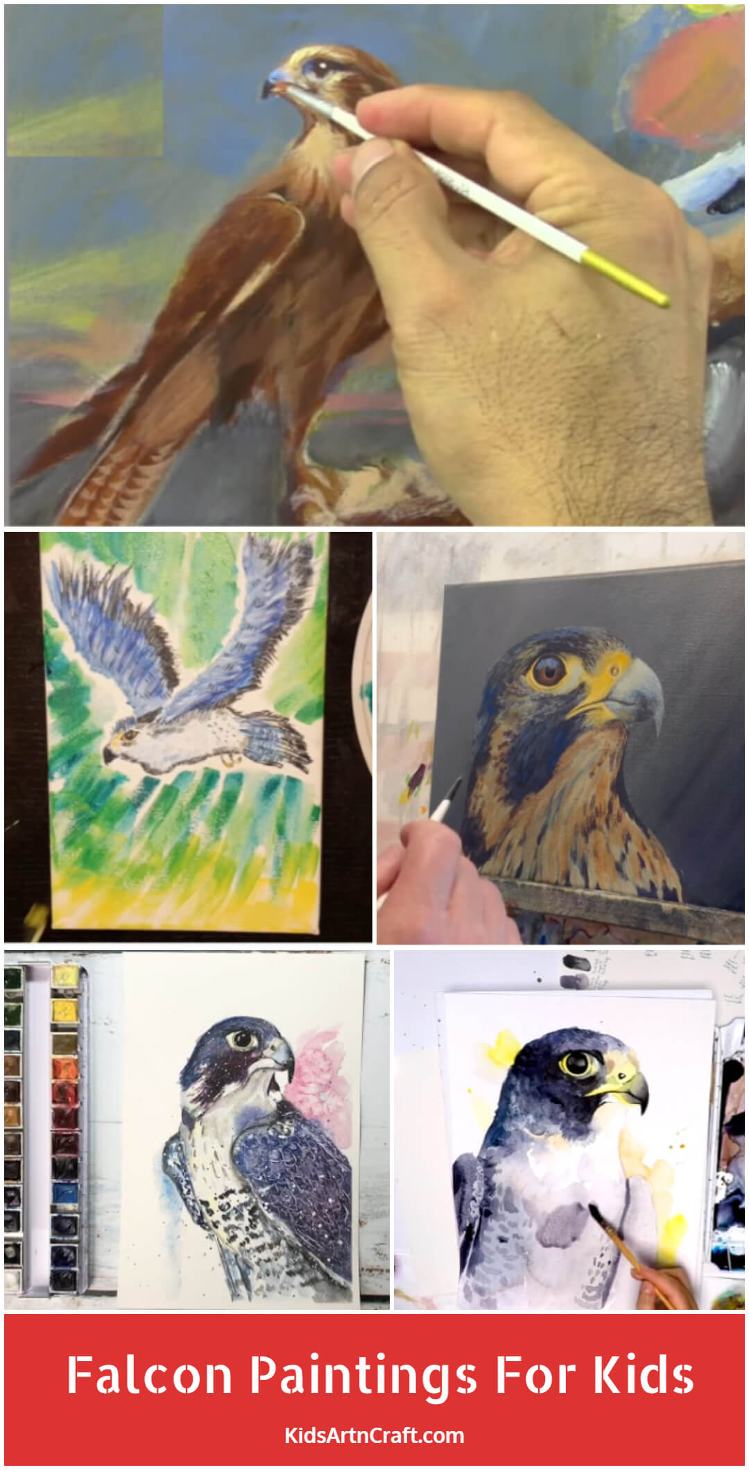 Falcon Paintings For Kids