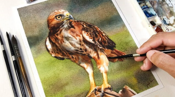 Falcon Watercolor Easy Painting