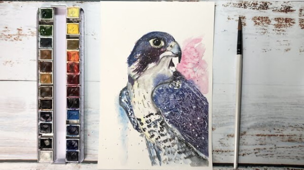 Falcon Watercolor Painting Tutorial Step By Step