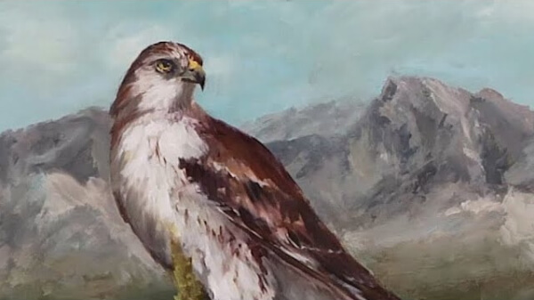 Hawk Paintings For Kids Ferruginous Hawk Acrylic Painting
