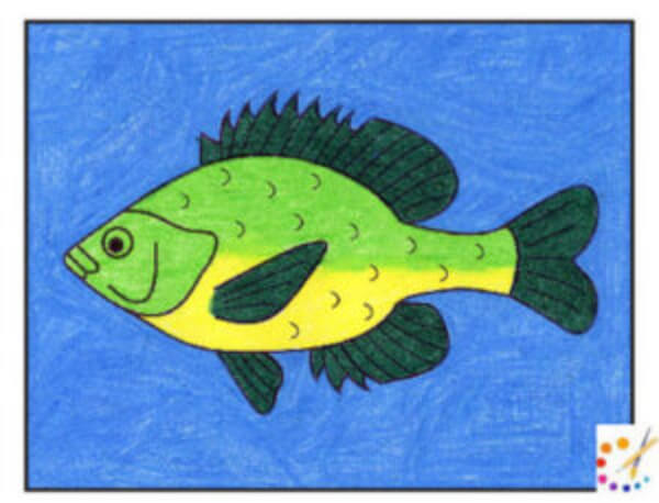 Fish Drawing & Sketches For Kids Fish Drawing For Beginners