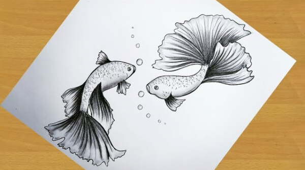 Fish Pencil Sketch Drawing  For Kids