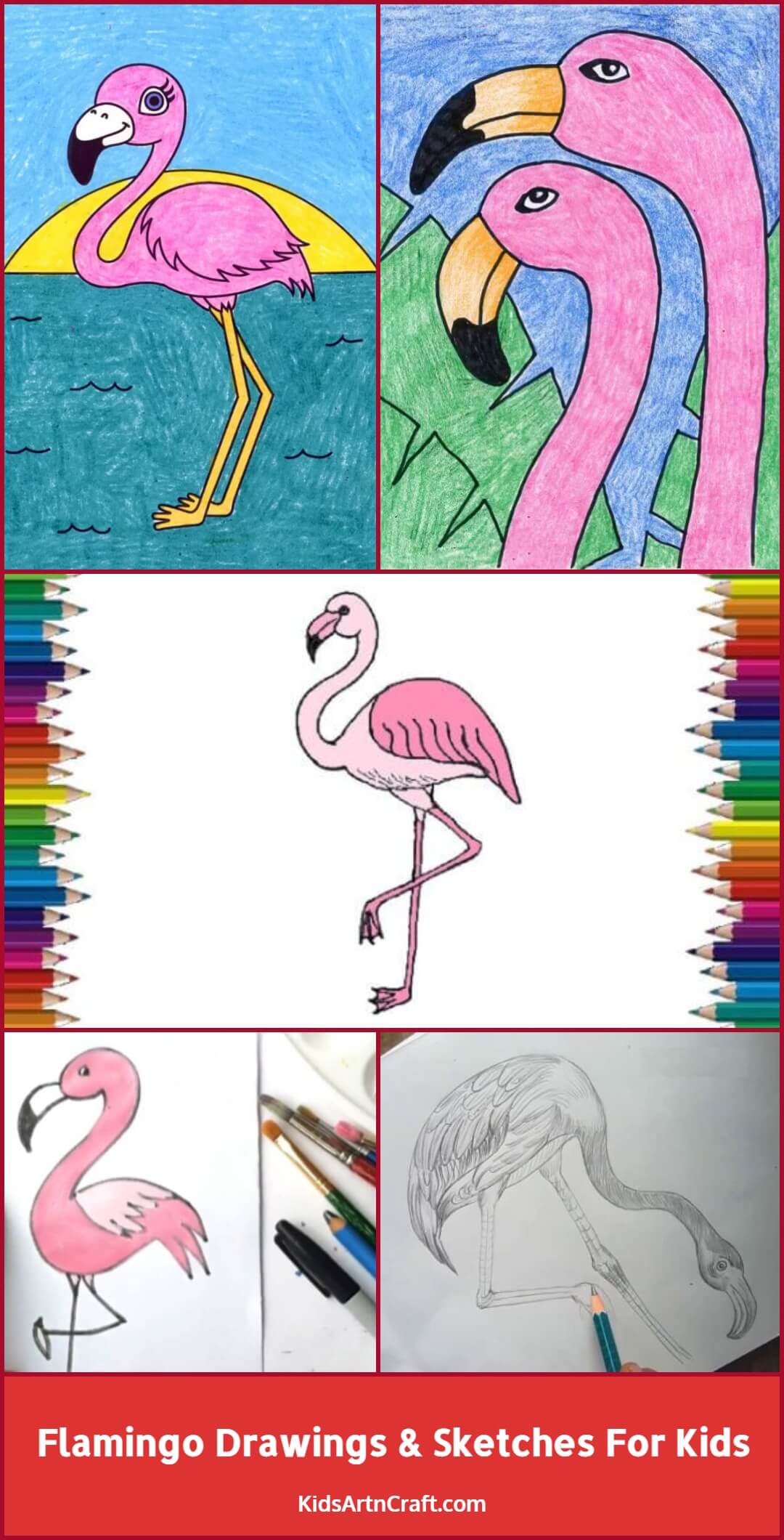 Flamingo Drawings & Sketches For Kids
