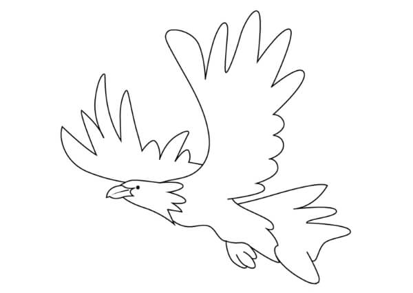 Flying Eagle Drawing