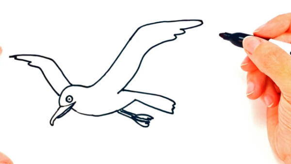 Flying Seagull Easy Drawing For Kids