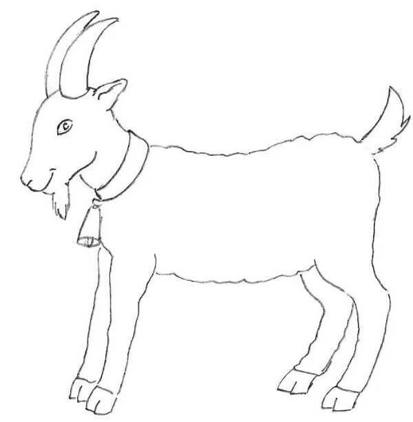 Goat Drawing Tutorial For Beginners