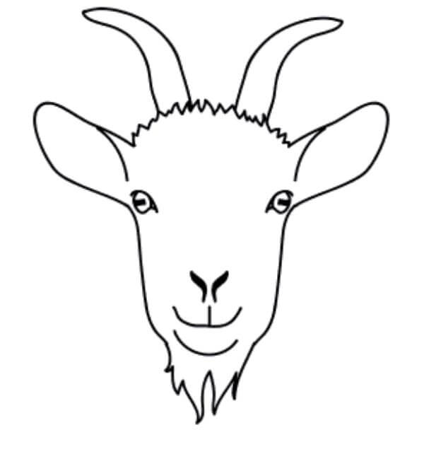 Goat Face Drawing & Sketch For Kids
