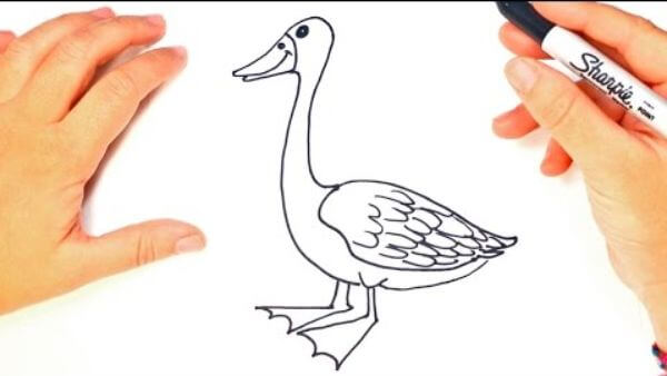 Goose Drawing Lesson For Kids