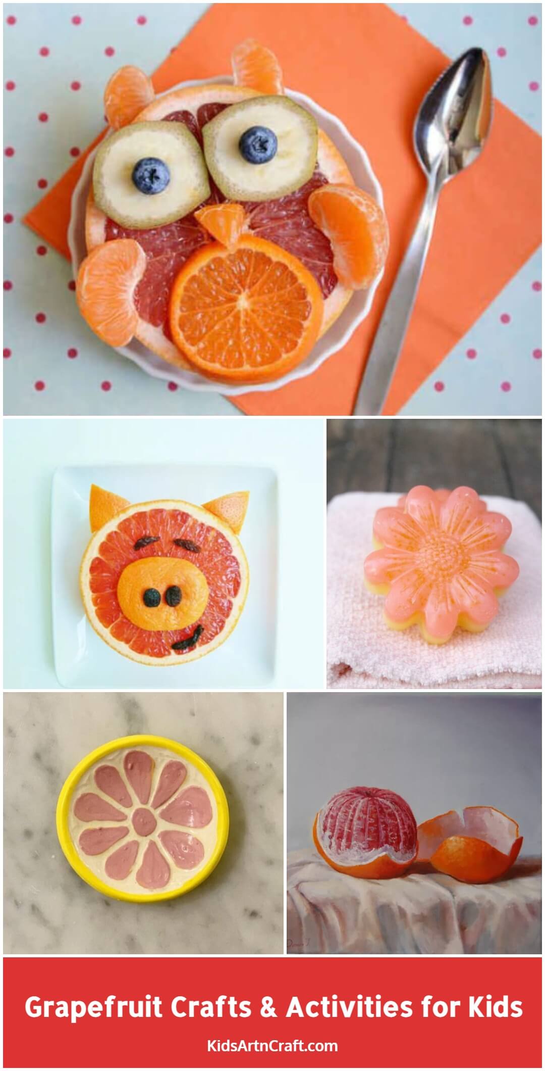 Grapefruit Crafts & Activities for Kids - Kids Art & Craft