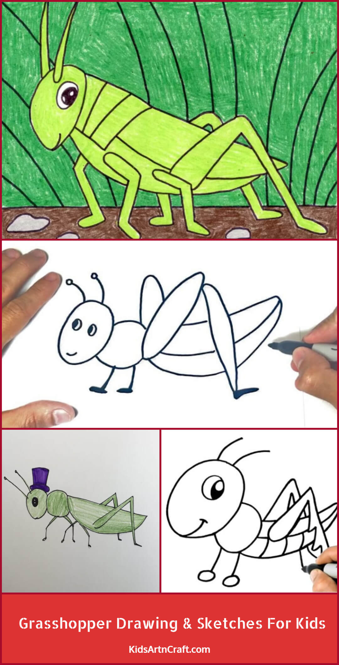 Grasshopper Drawing & Sketches For Kids
