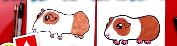 Guinea Pig Drawing Tutorial