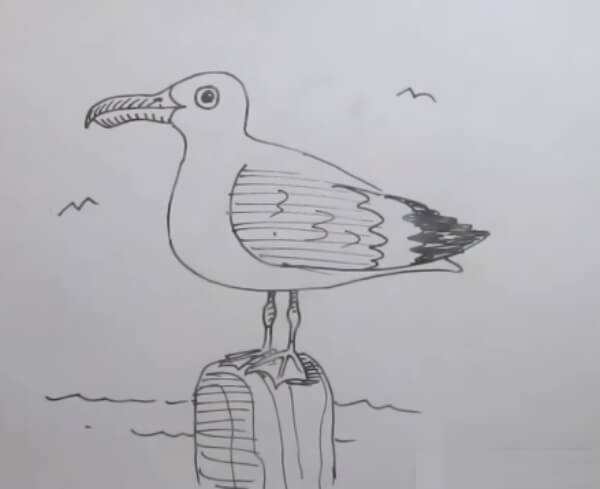  Seagull Drawing Tutorial For Kids