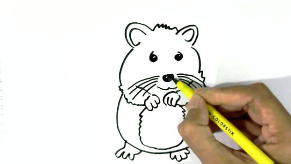 Hamster Drawing & Sketches For Kids Hamster Easy Drawings For kids
