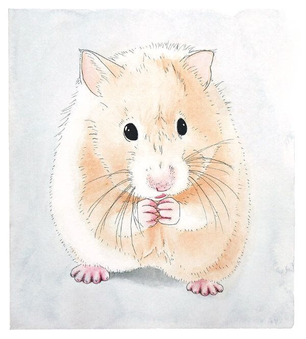 Hamster Painting With Watercolor For Kids