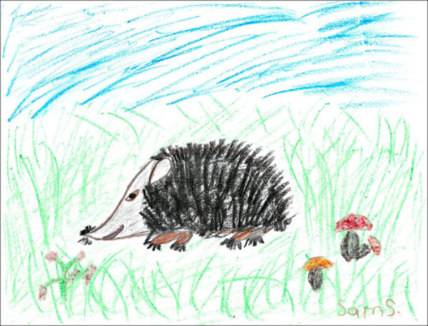 Hedgehog Drawing With Colored Pencil
