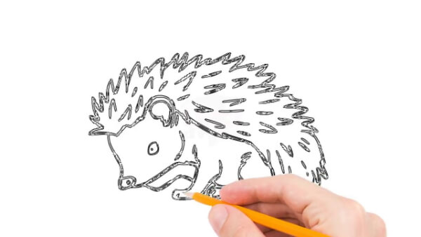 Hedgehog Line Art Drawing For Kids