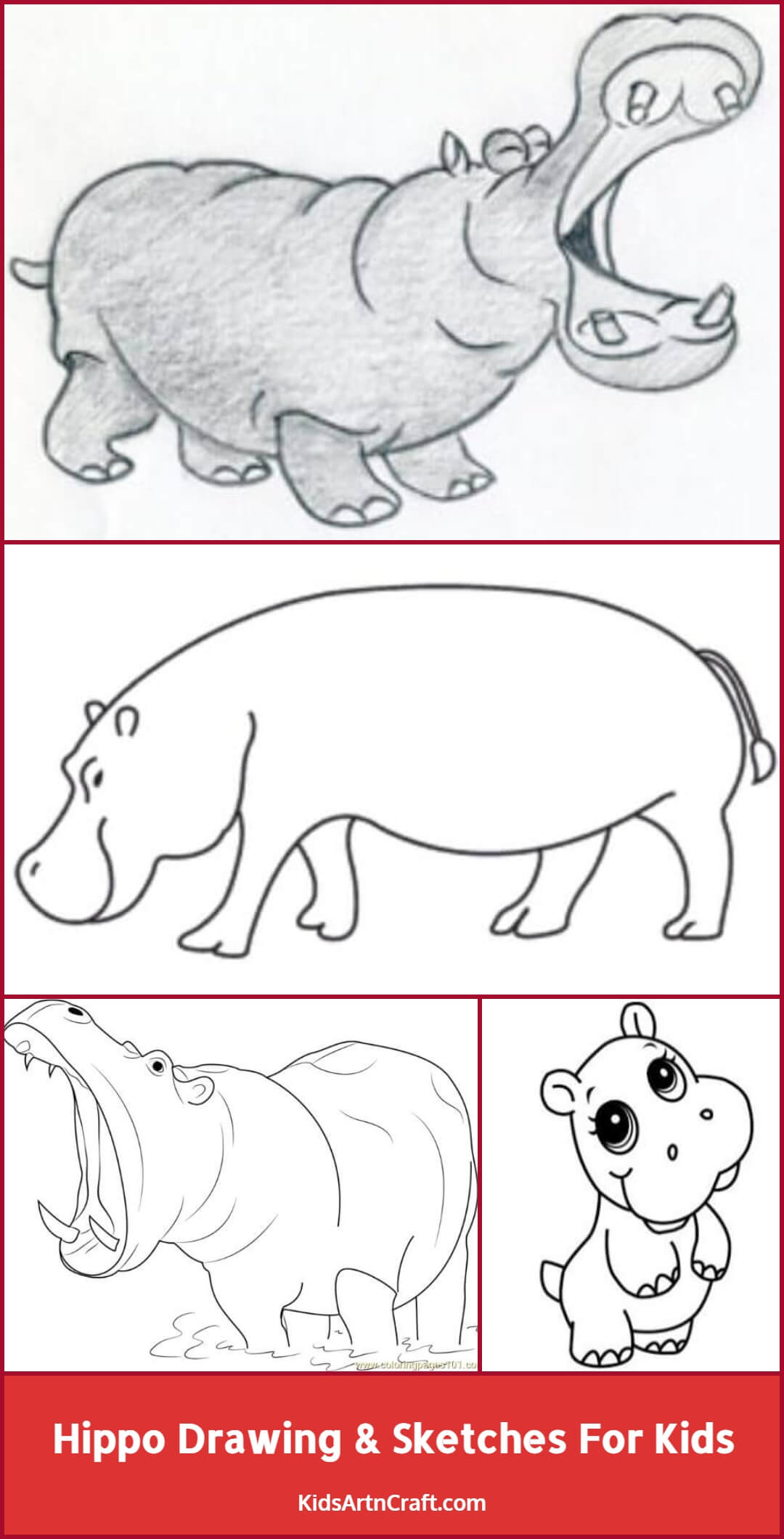Hippo Drawing & Sketches For Kids