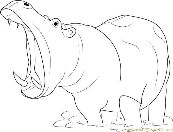 Hippopotamus Open Mouth Drawing Coloring Page