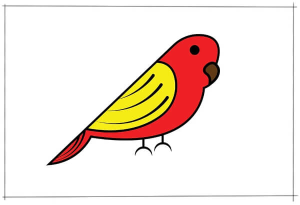 Bird Drawings & Sketches For Kids How To Draw A Bird